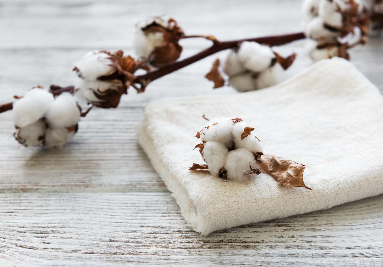 پارچه پنبهای از نمای نزدیک