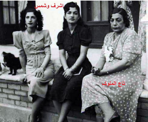 تاج الملوک و اشرف از زنان اهل سیاست زمان پهلوی دوم، نقش مهم فرهنگ‌سازی برای زنان 