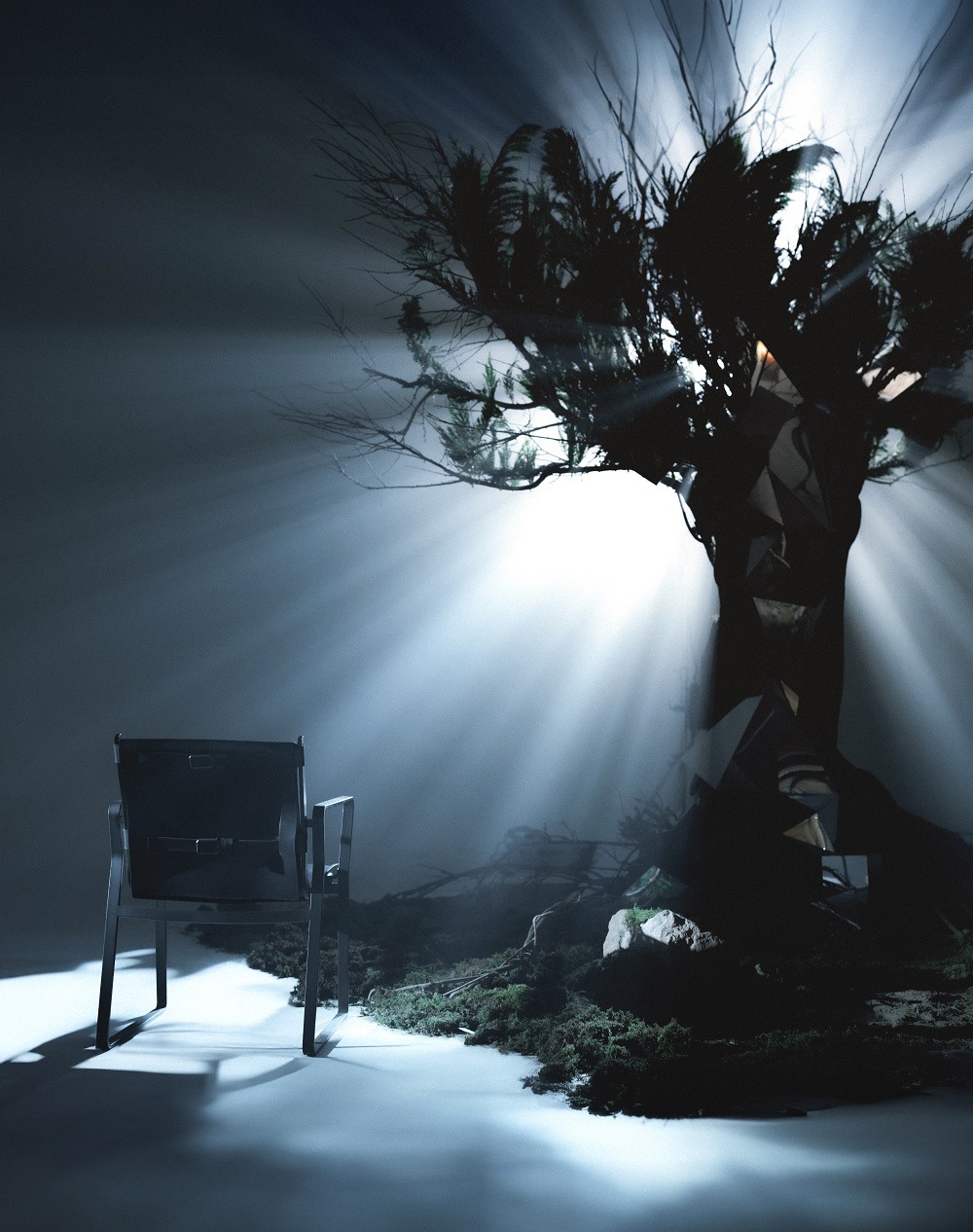 روایتی از سرو و مهر در کمپین "درخت نور" درسا